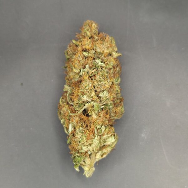 Fleurs de CBD Golden Orient culture bio Light Dep par les Plantes de Tomine zoom