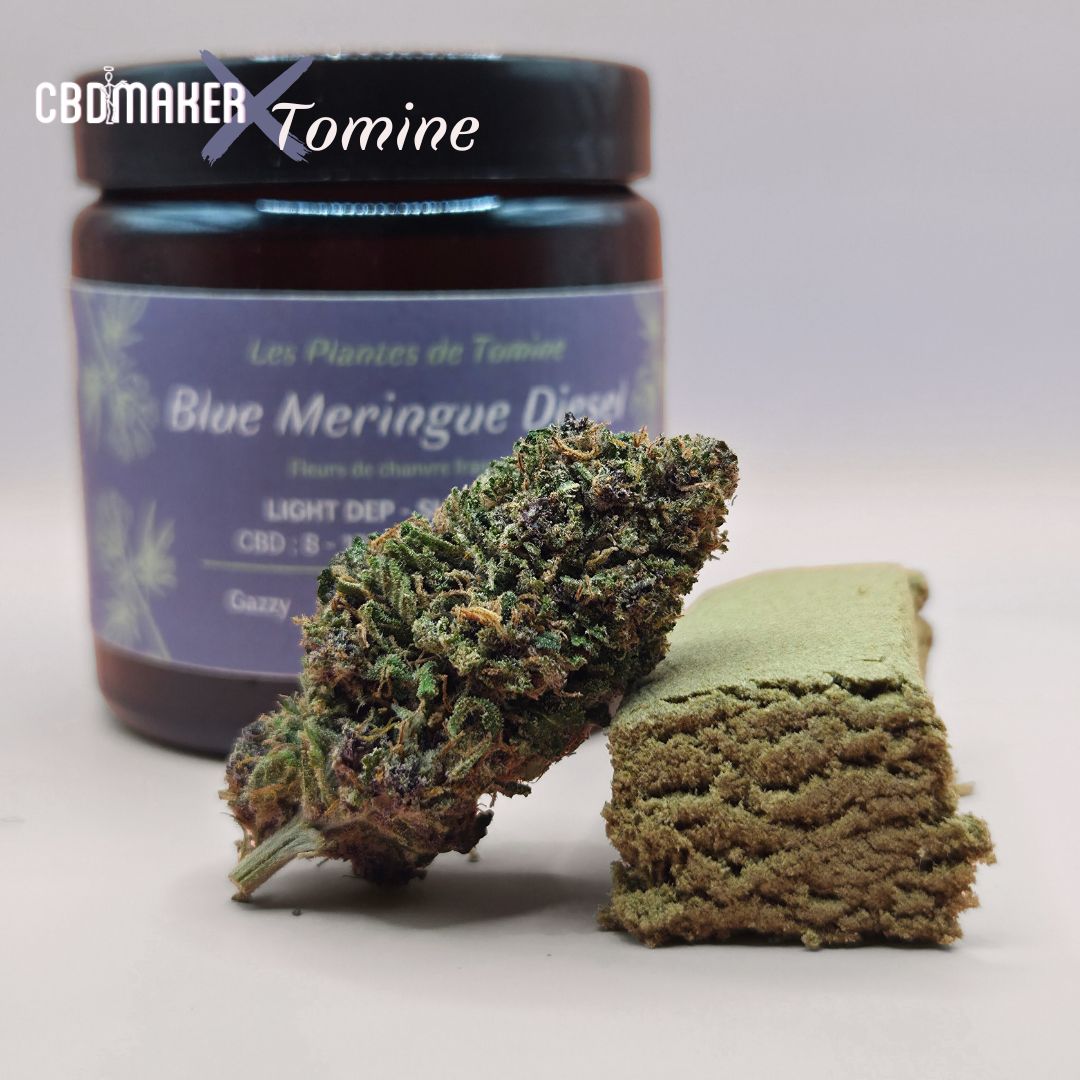 DUO Fleurs et hash CBD Blue Meringue Diesel by CBD Maker – Image 3