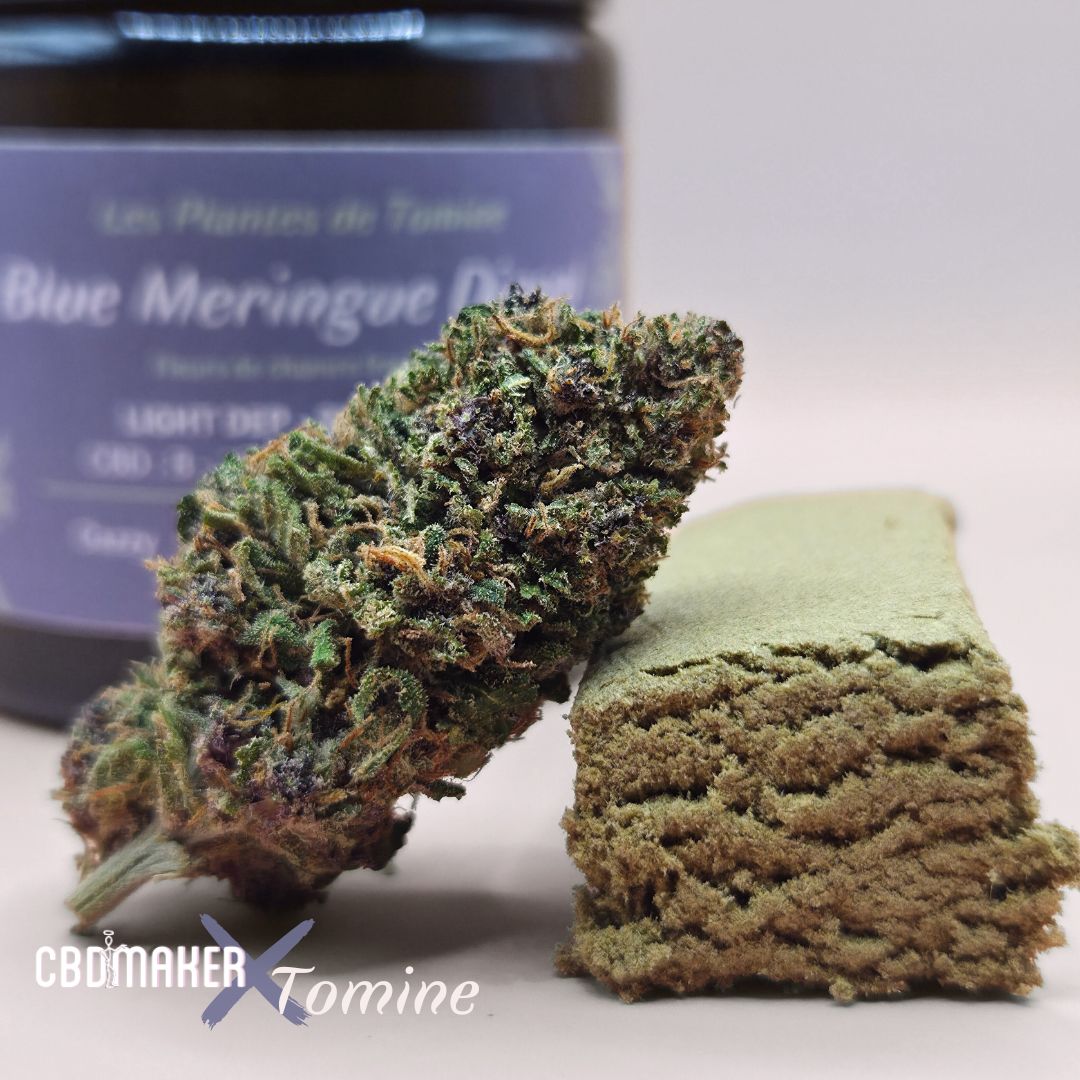 DUO Fleurs et hash CBD Blue Meringue Diesel by CBD Maker