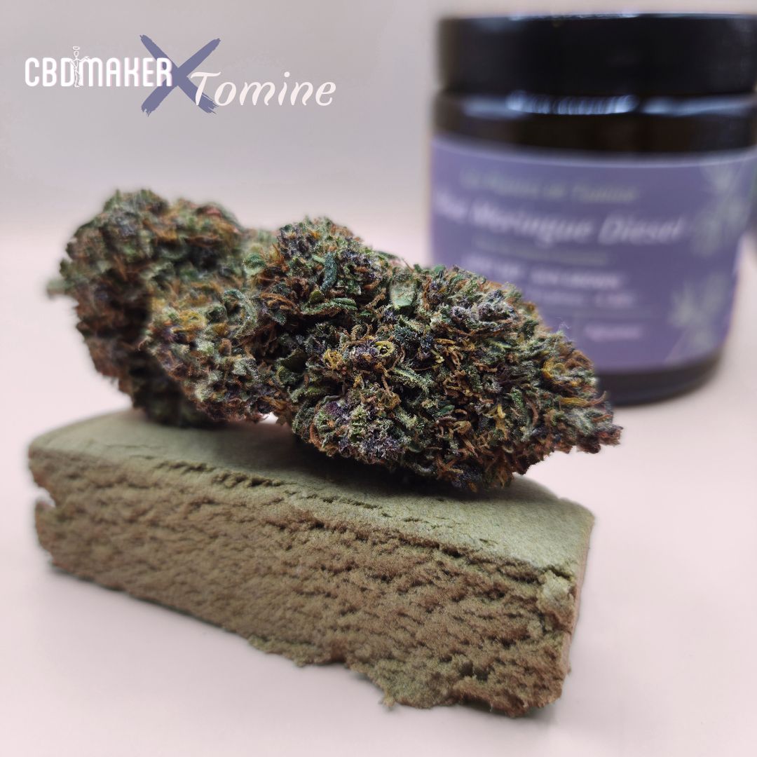 DUO Fleurs et hash CBD Blue Meringue Diesel by CBD Maker – Image 2