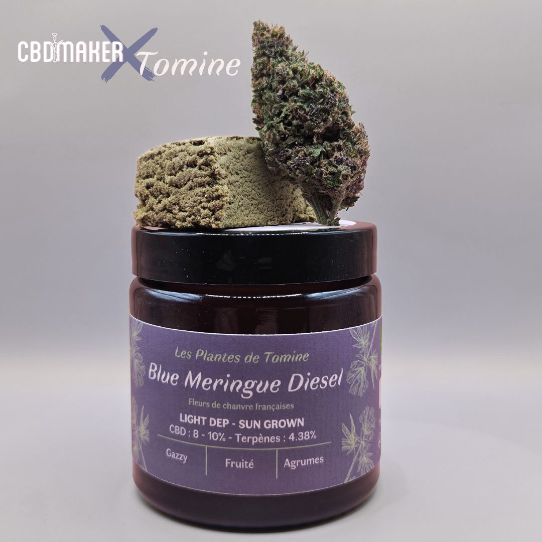 DUO Fleurs et hash CBD Blue Meringue Diesel by CBD Maker – Image 6