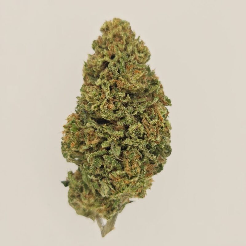 Allium OG CBD BIO