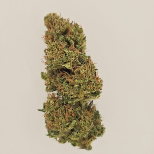 Forbidden Fruit CBD BIO greenhouse