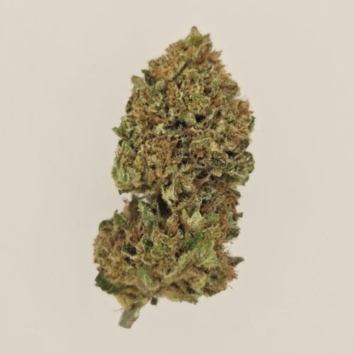 Motherlove CBD BIO indoor
