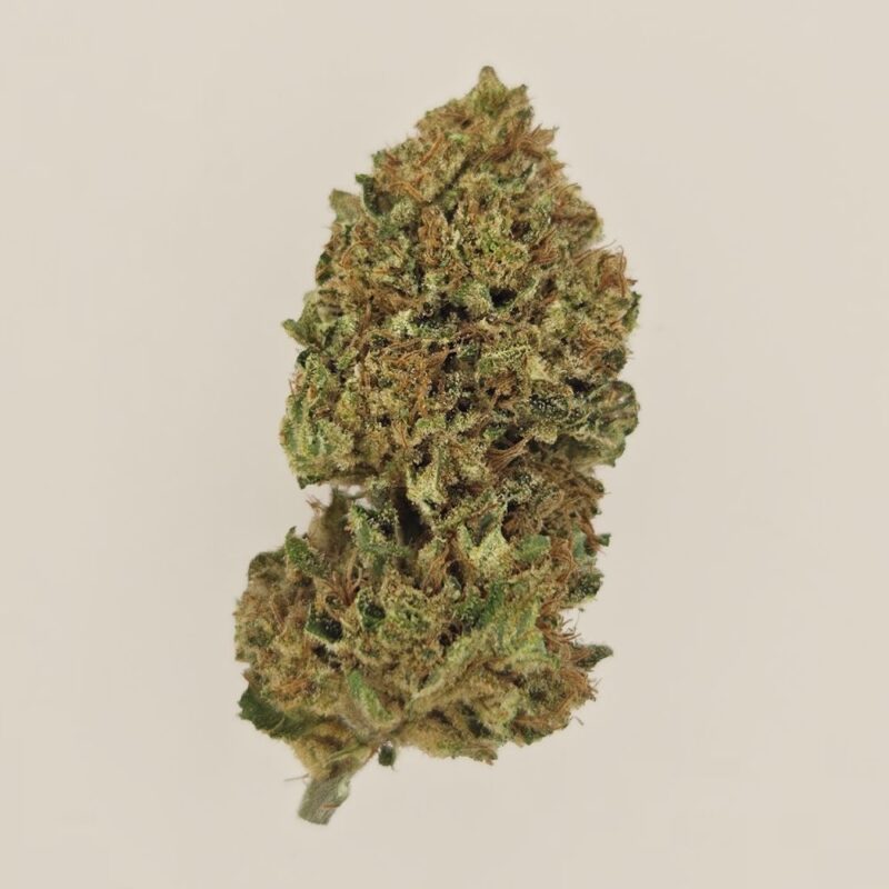 Motherlove CBD BIO indoor