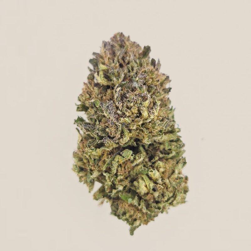 Saucière CBD BIO