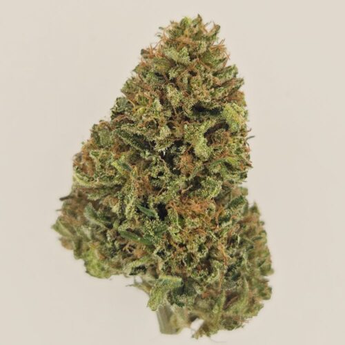 Shiva's Nectar CBD BIO indoor