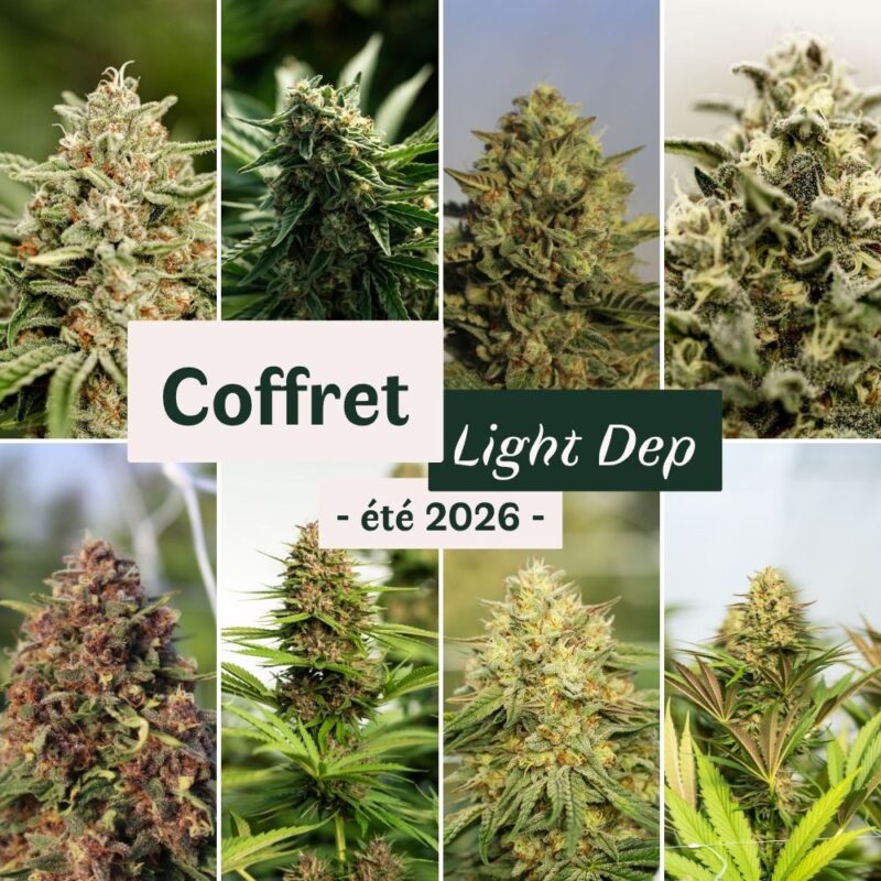 Coffret CBD Light Dep