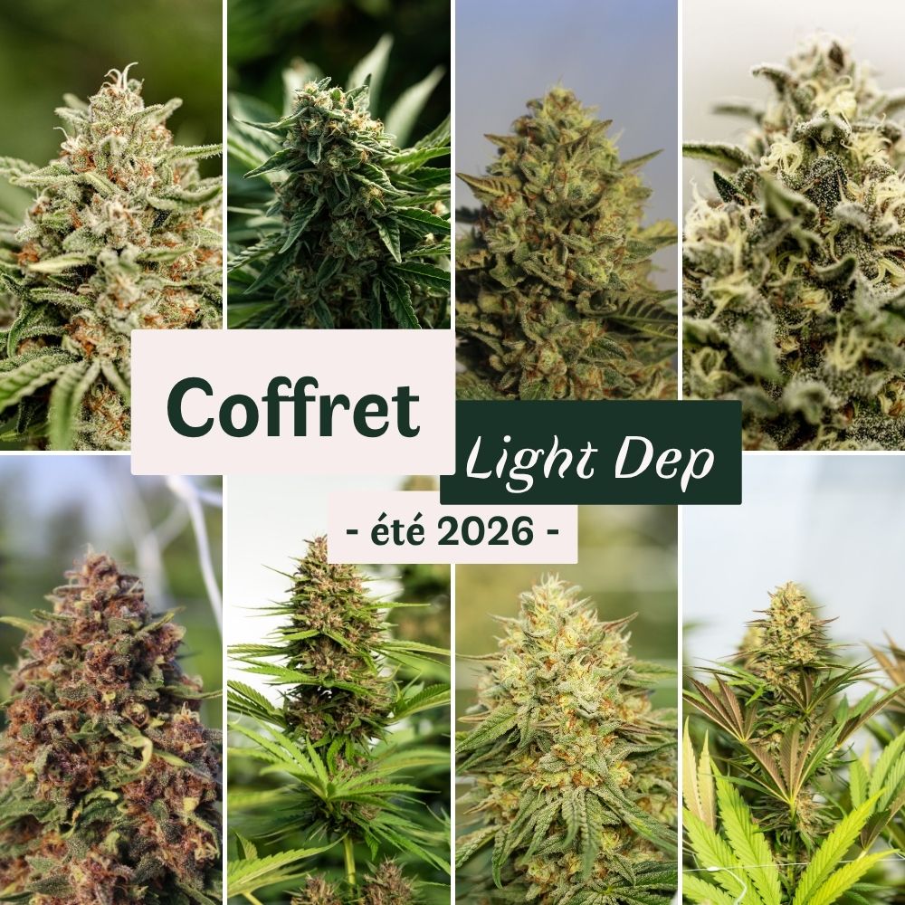 Coffret CBD Light Dep