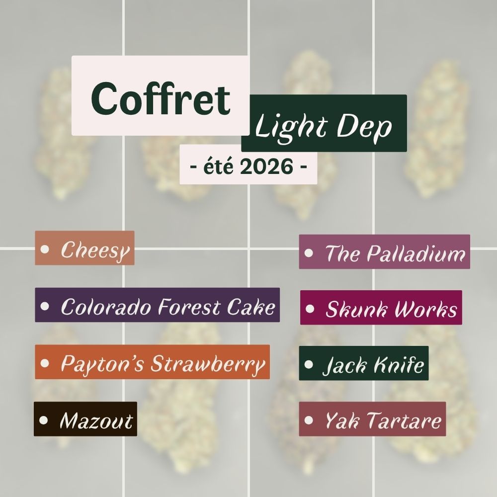 Coffret CBD Light Dep – Image 2