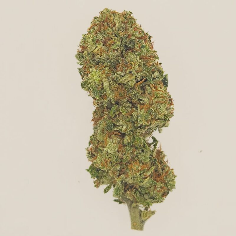 Jack Knife CBD Light Dep