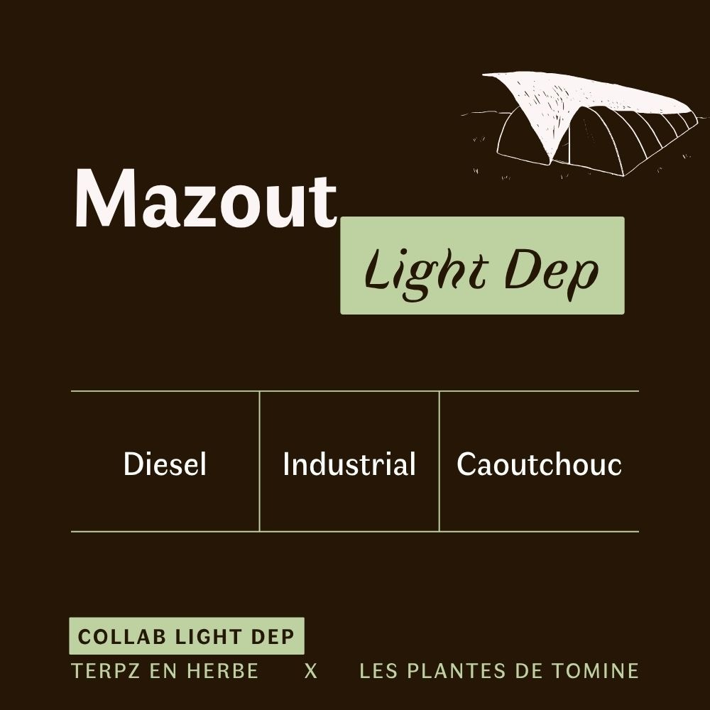 Coffret CBD Light Dep – Image 7