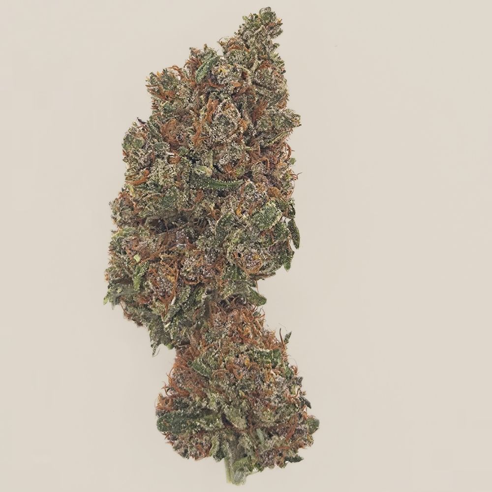 Mazout CBD Light Dep