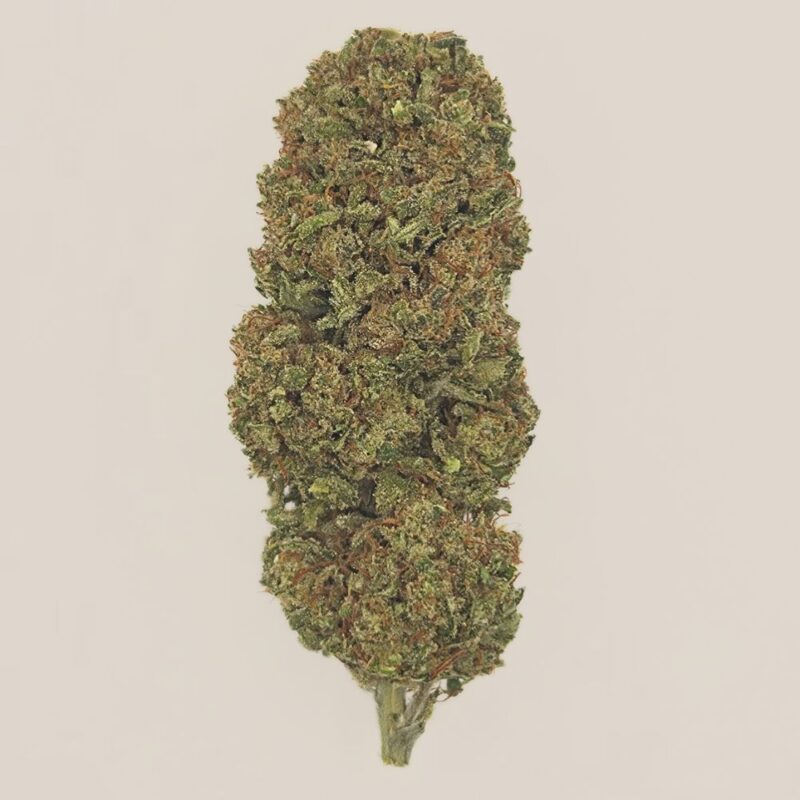 Payton's Strawberry CBD Light Dep