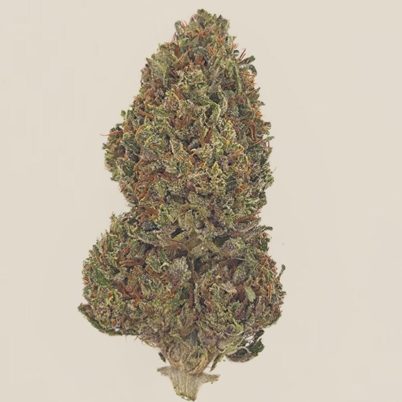 Skunk Works CBD Light Dep