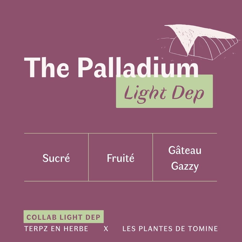 The Palladium CBD Light Dep – Image 3