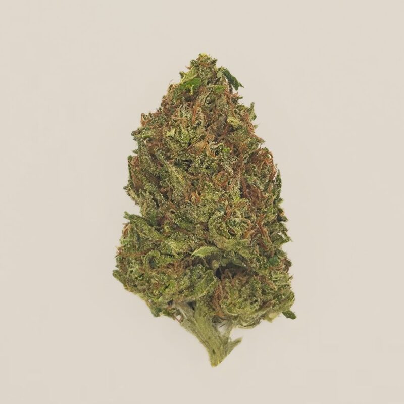 Yak Tartare CBD Light Dep
