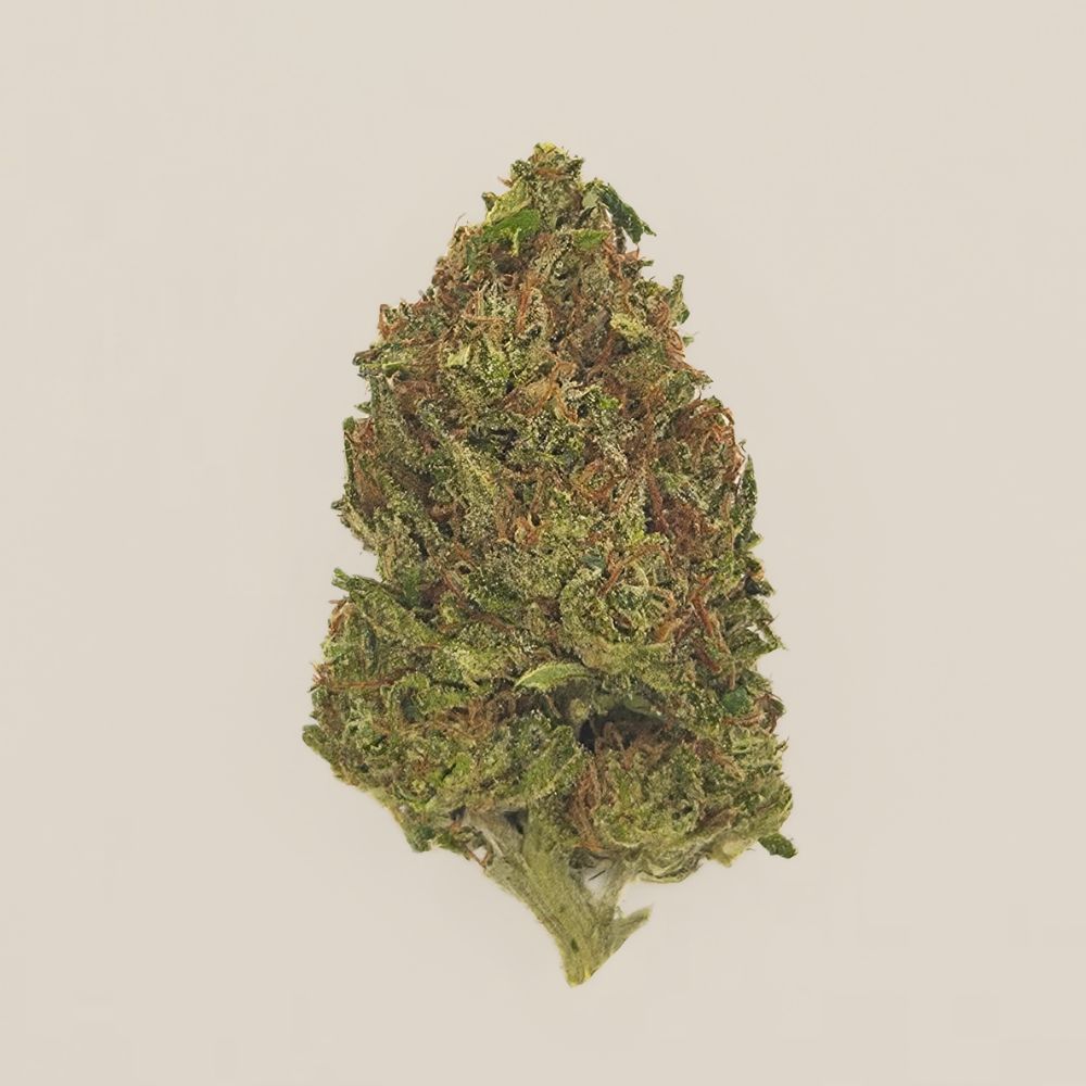 Yak Tartare CBD Light Dep